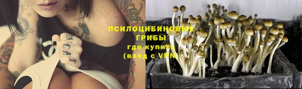 Альфа ПВП Сосновый Бор
