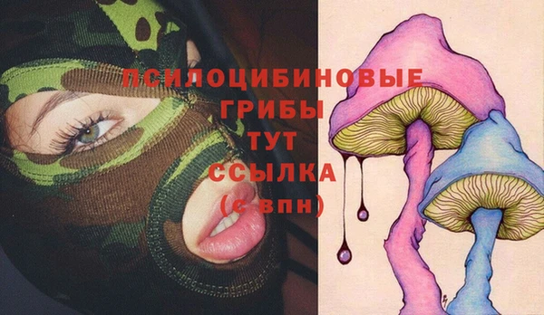 Альфа ПВП Сосновый Бор