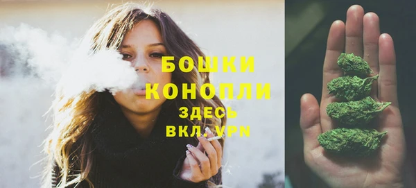 Альфа ПВП Сосновый Бор