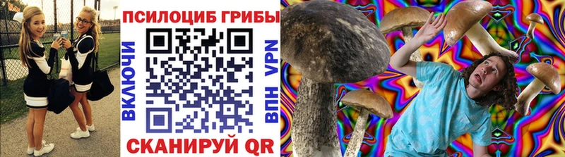 Купить где  Баксан  Псилоцибиновые грибы ЛСД 